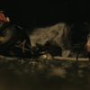 Thumbnail of related posts 043